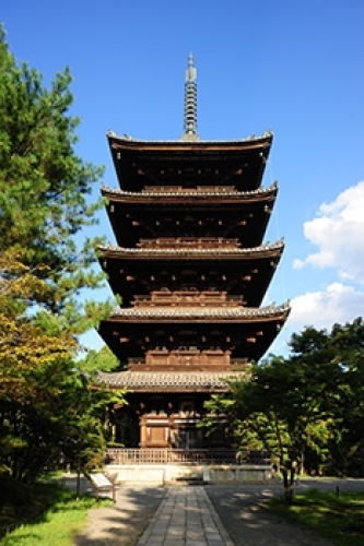 ���E��Y�m�a����m�������ē� ���݂��_�C���C�g�A�b�v�ӏ܁E���ʔq��